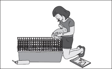 A girl puts a rabbit into a cage that has straw in it. A water dispenser bottle and a book about rabbits are on the ground next to the girl.